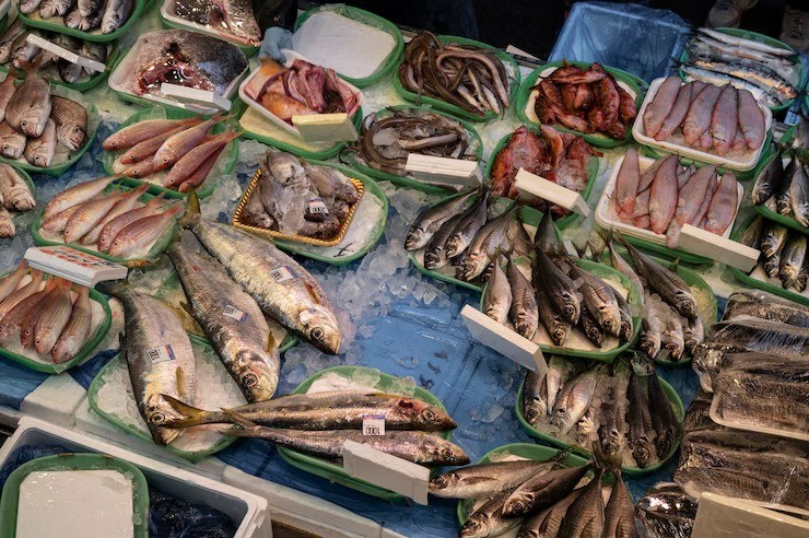 manfaat ikan untuk anak, omega-3 dan kecerdasan, anak susah tidur, cara agar anak suka ikan, makanan anak sehat, konsumsi ikan untuk perkembangan otak, pola makan anak cerdas, makanan untuk meningkatkan IQ anak, tips makan sehat anak, kebiasaan makan seha